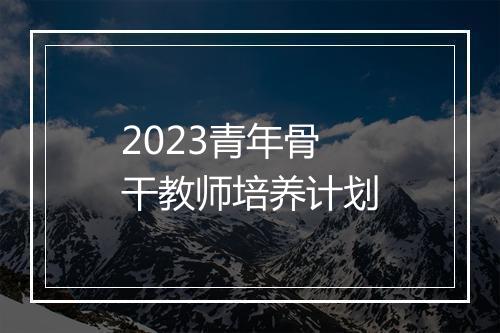 2023青年骨干教师培养计划