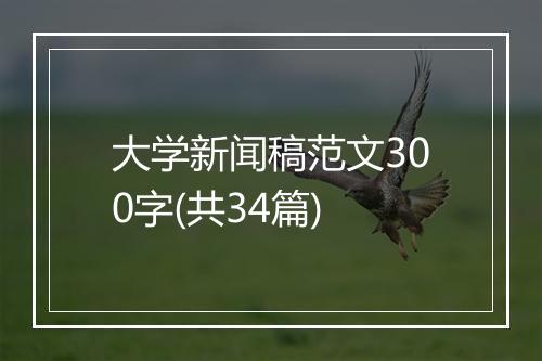 大学新闻稿范文300字(共34篇)