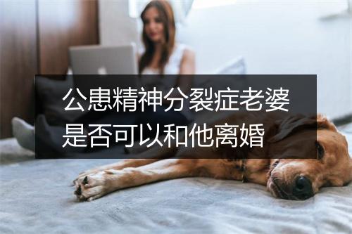 公患精神分裂症老婆是否可以和他离婚