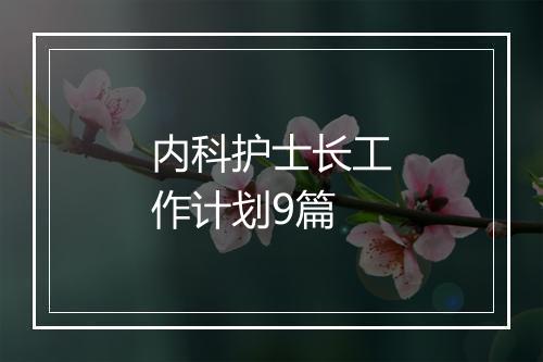 内科护士长工作计划9篇