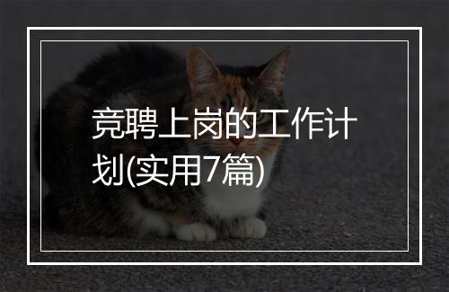 竞聘上岗的工作计划(实用7篇)