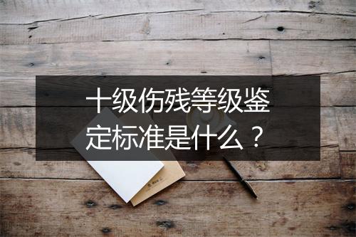 十级伤残等级鉴定标准是什么？