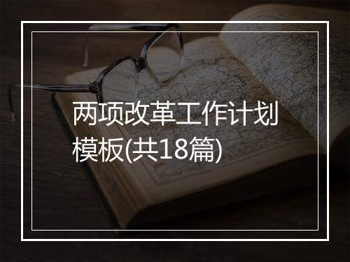 两项改革工作计划模板(共18篇)