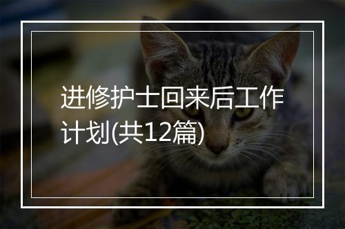 进修护士回来后工作计划(共12篇)