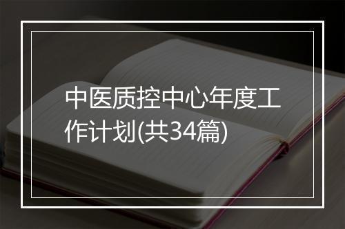 中医质控中心年度工作计划(共34篇)