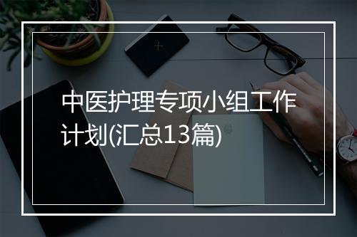 中医护理专项小组工作计划(汇总13篇)