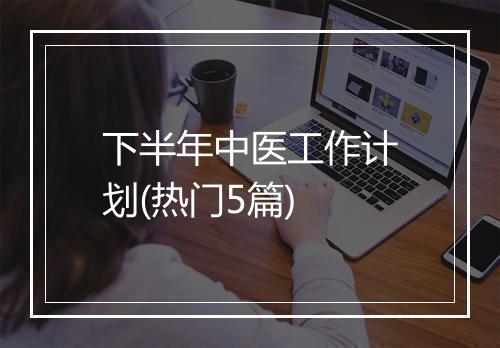 下半年中医工作计划(热门5篇)