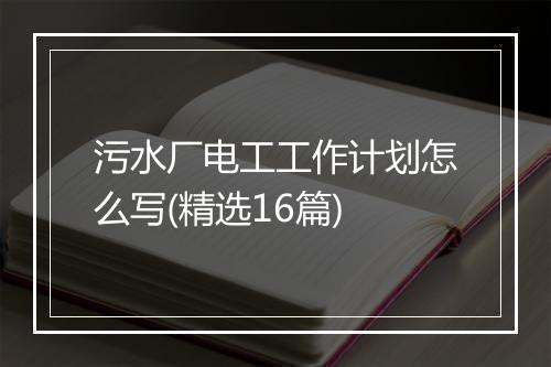 污水厂电工工作计划怎么写(精选16篇)