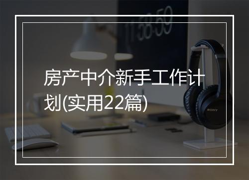 房产中介新手工作计划(实用22篇)