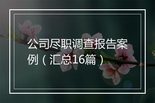 公司尽职调查报告案例（汇总16篇）