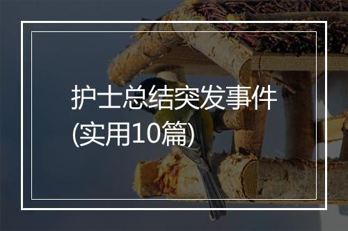 护士总结突发事件(实用10篇)