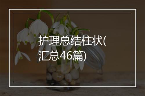 护理总结柱状(汇总46篇)