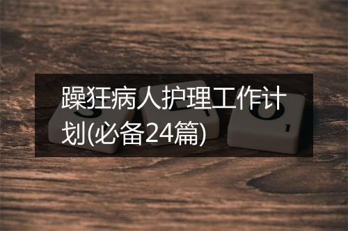 躁狂病人护理工作计划(必备24篇)