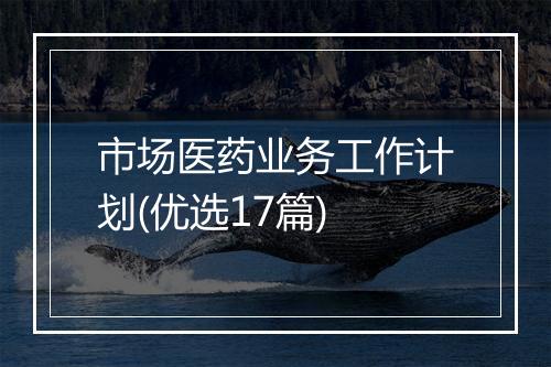 市场医药业务工作计划(优选17篇)
