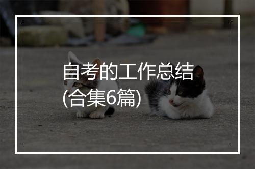 自考的工作总结(合集6篇)