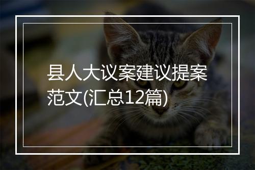 县人大议案建议提案范文(汇总12篇)
