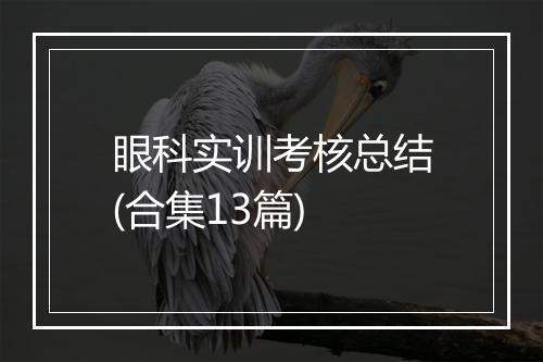 眼科实训考核总结(合集13篇)