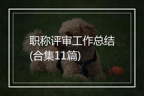职称评审工作总结(合集11篇)