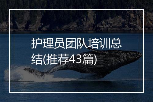 护理员团队培训总结(推荐43篇)