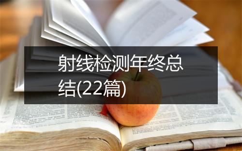 射线检测年终总结(22篇)