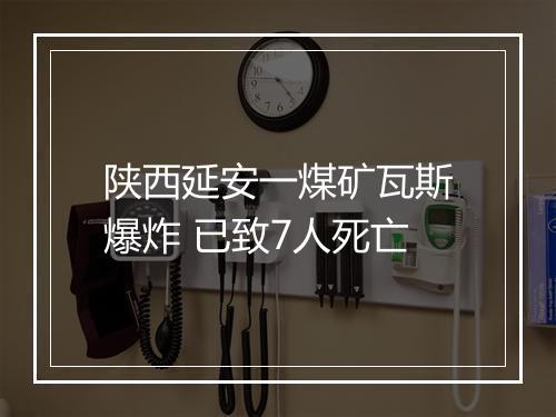 陕西延安一煤矿瓦斯爆炸 已致7人死亡