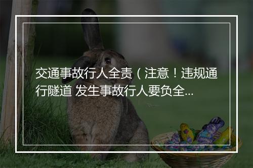 交通事故行人全责（注意！违规通行隧道 发生事故行人要负全责）