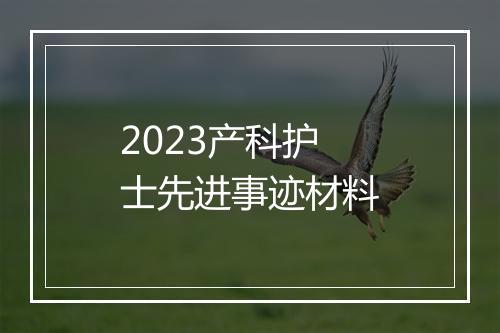 2023产科护士先进事迹材料