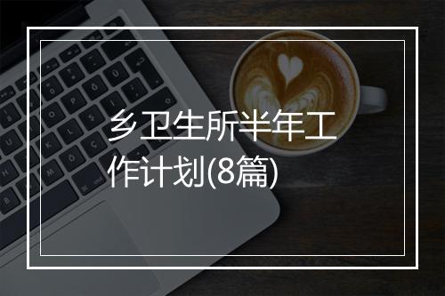 乡卫生所半年工作计划(8篇)