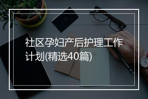 社区孕妇产后护理工作计划(精选40篇)
