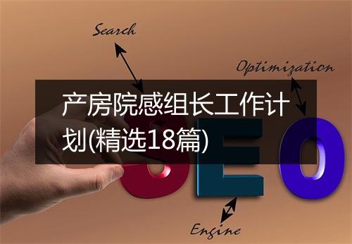 产房院感组长工作计划(精选18篇)