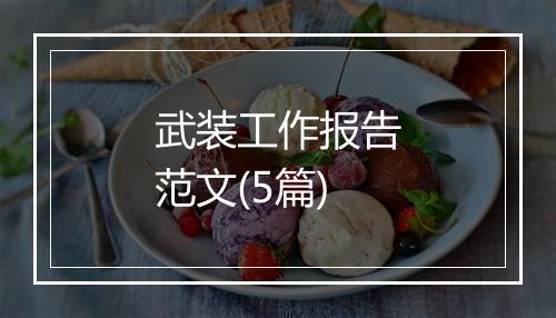 武装工作报告范文(5篇)