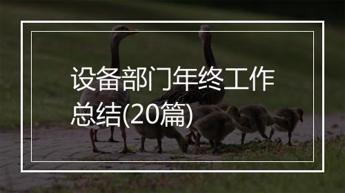 设备部门年终工作总结(20篇)