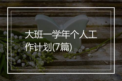 大班一学年个人工作计划(7篇)