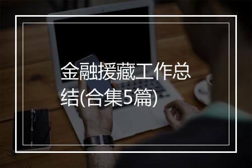 金融援藏工作总结(合集5篇)