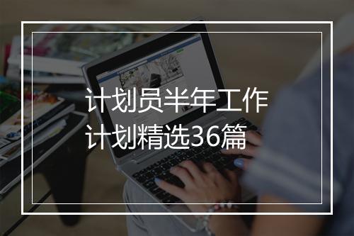 计划员半年工作计划精选36篇