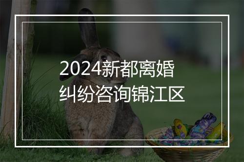 2024新都离婚纠纷咨询锦江区