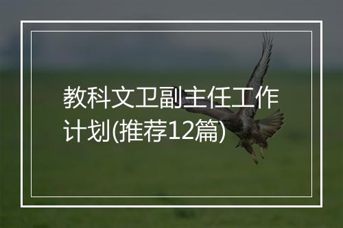 教科文卫副主任工作计划(推荐12篇)