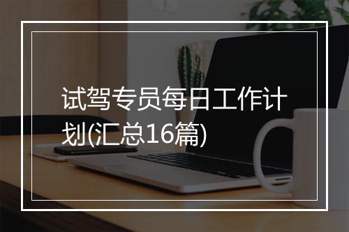 试驾专员每日工作计划(汇总16篇)