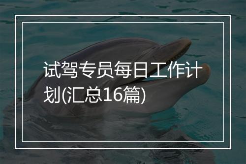 试驾专员每日工作计划(汇总16篇)