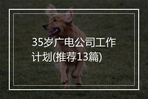35岁广电公司工作计划(推荐13篇)