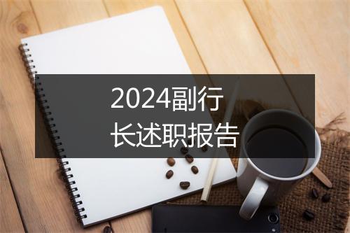 2024副行长述职报告