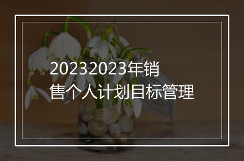 20232023年销售个人计划目标管理