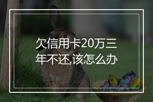 欠信用卡20万三年不还,该怎么办