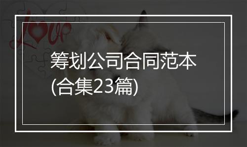 筹划公司合同范本(合集23篇)