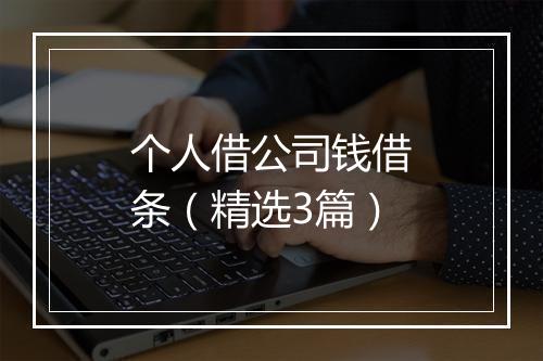 个人借公司钱借条（精选3篇）