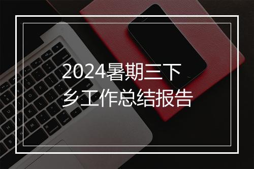 2024暑期三下乡工作总结报告