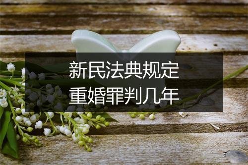 新民法典规定重婚罪判几年