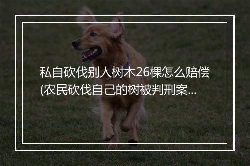 私自砍伐别人树木26棵怎么赔偿(农民砍伐自己的树被判刑案件情况)