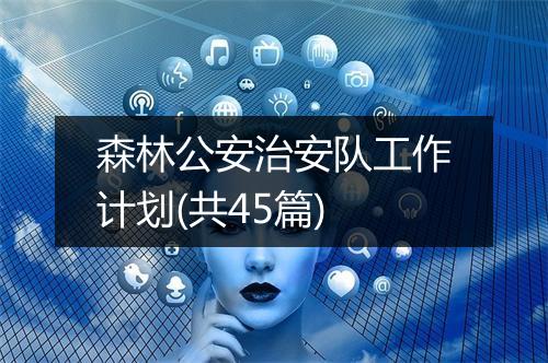 森林公安治安队工作计划(共45篇)