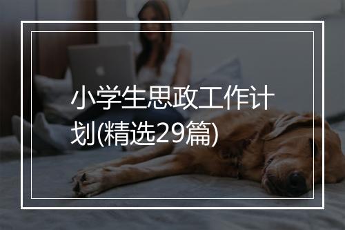 小学生思政工作计划(精选29篇)